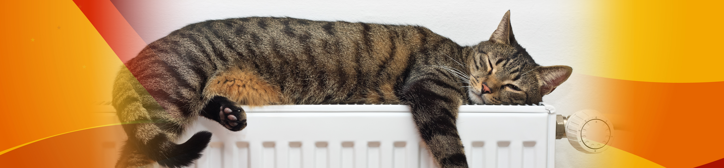 Keep your boiler efficient and reliable, book your boiler service now from £60
